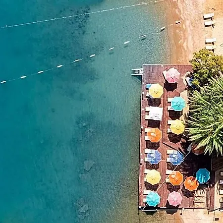 Hotel Toka & Club 3*